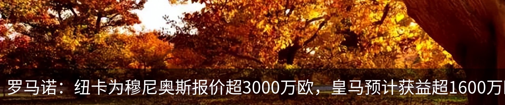 资讯动态